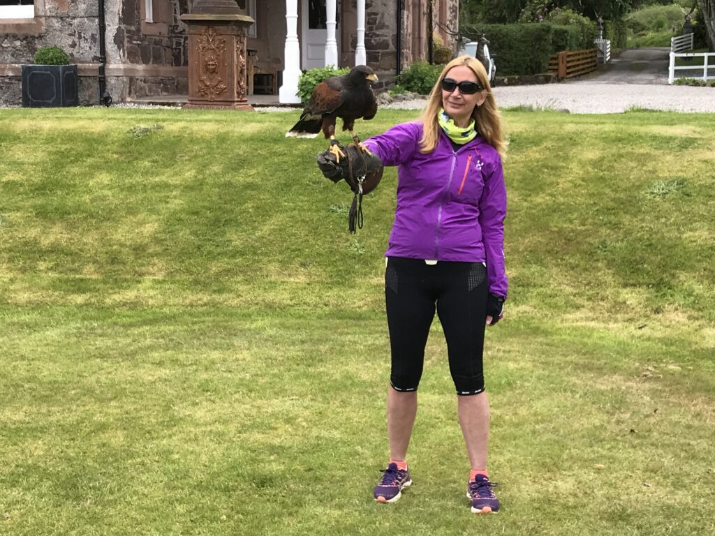 Falconry and Mandy